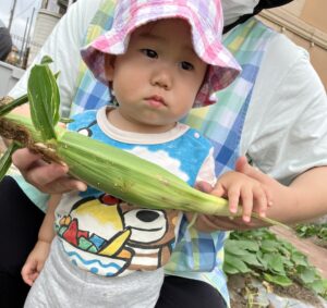 ふれあい保育園西条（東広島市）ガーデンファーム収穫祭